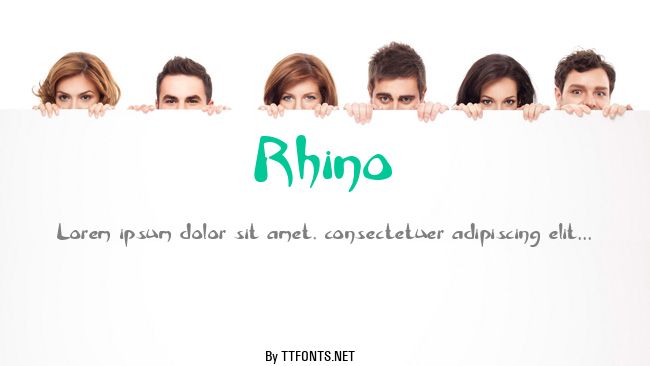 Rhino example