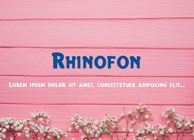 Rhinofon example