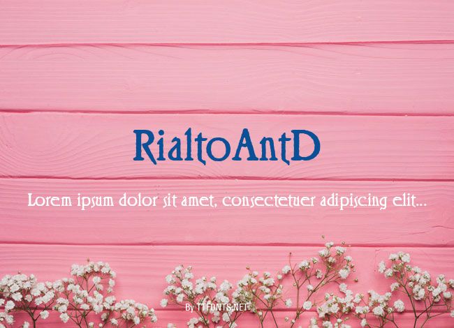 RialtoAntD example
