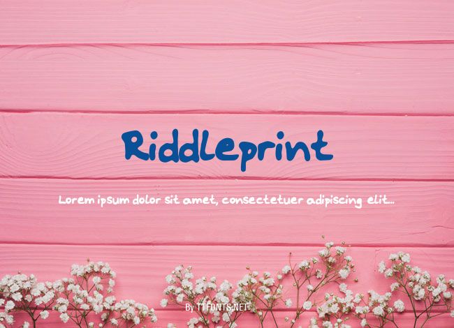 Riddleprint example