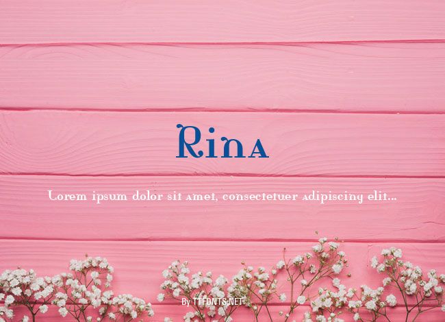 Rina example