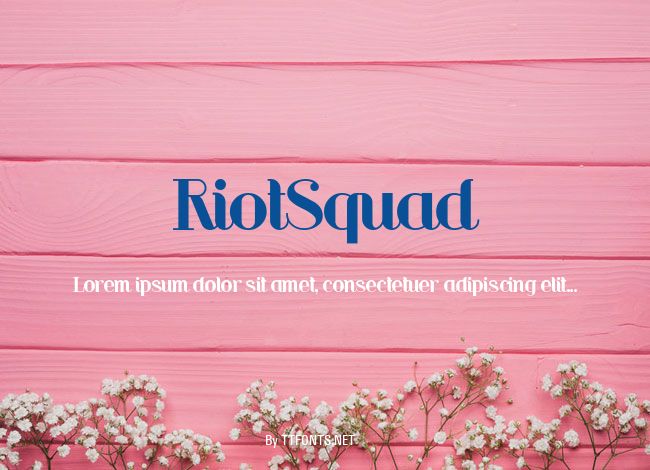 RiotSquad example