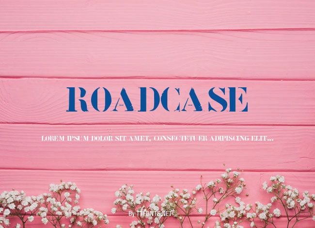 Roadcase example