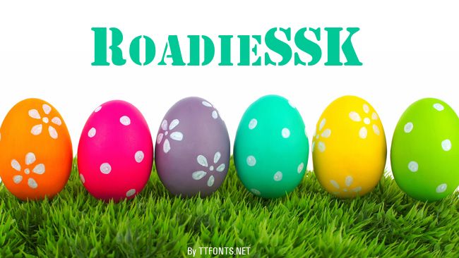 RoadieSSK example