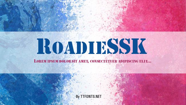 RoadieSSK example