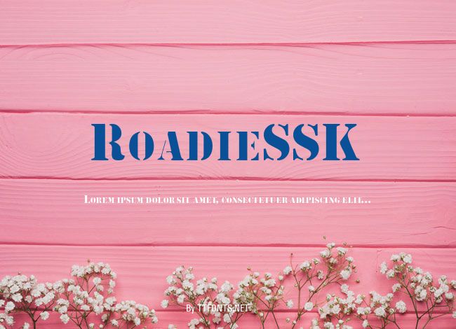 RoadieSSK example