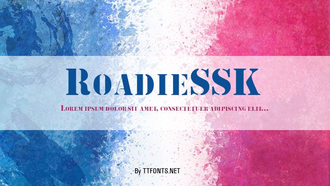 RoadieSSK example