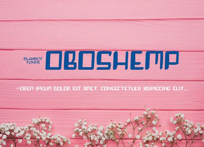 Roboshemp example