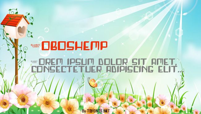 Roboshemp example