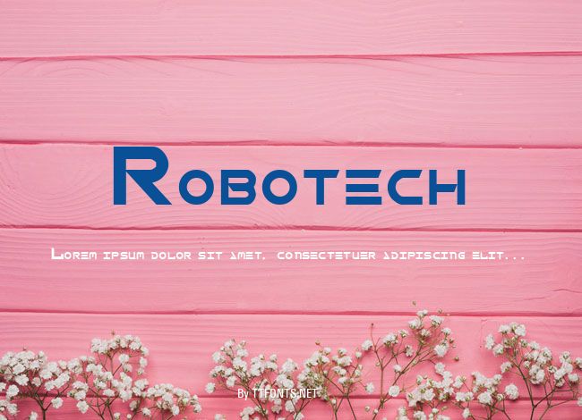 Robotech example