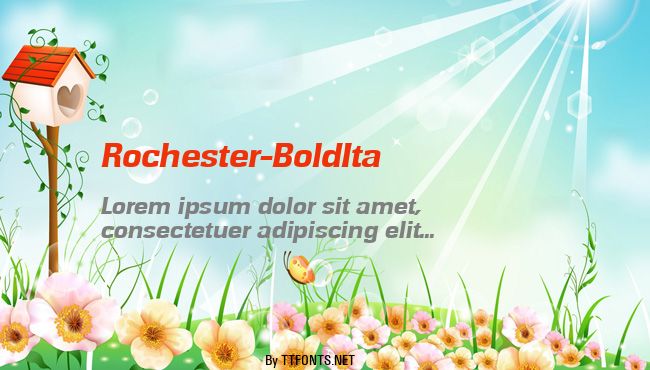 Rochester-BoldIta example