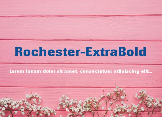 Rochester-ExtraBold example