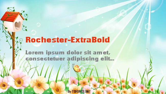 Rochester-ExtraBold example