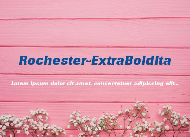 Rochester-ExtraBoldIta example