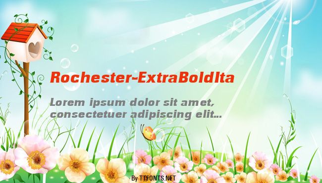 Rochester-ExtraBoldIta example