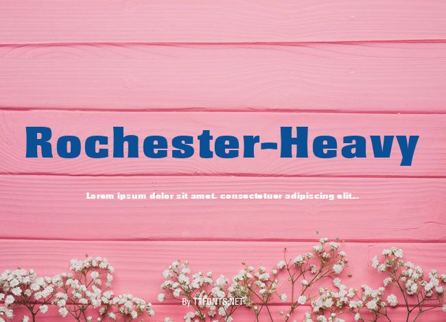 Rochester-Heavy example