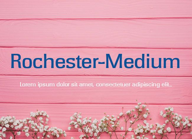 Rochester-Medium example