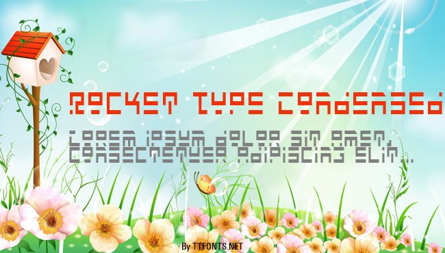 Rocket Type Condensed example