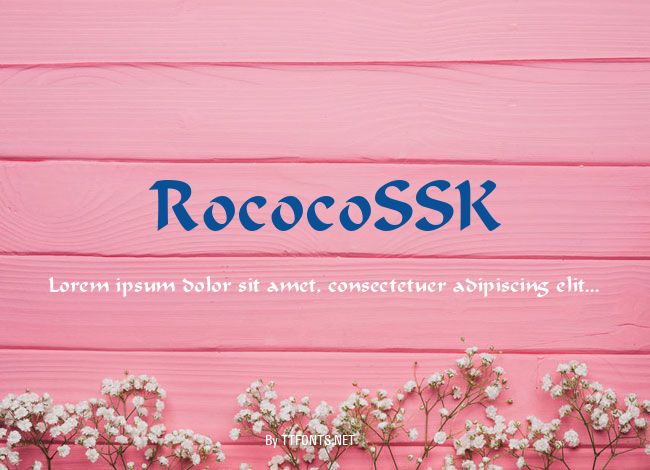 RococoSSK example