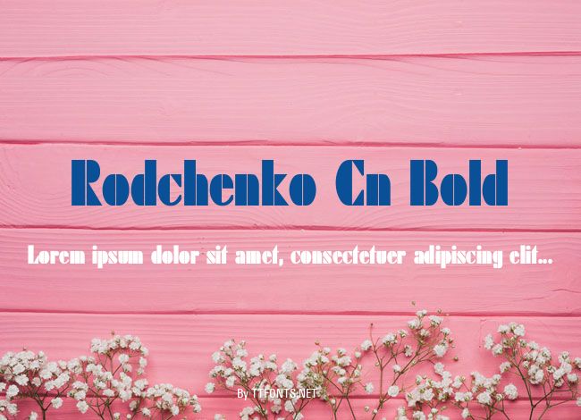 Rodchenko Cn Bold example
