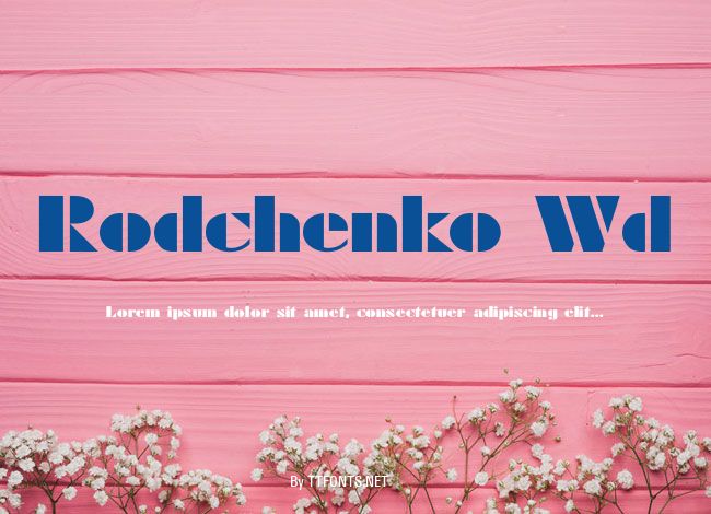 Rodchenko Wd example