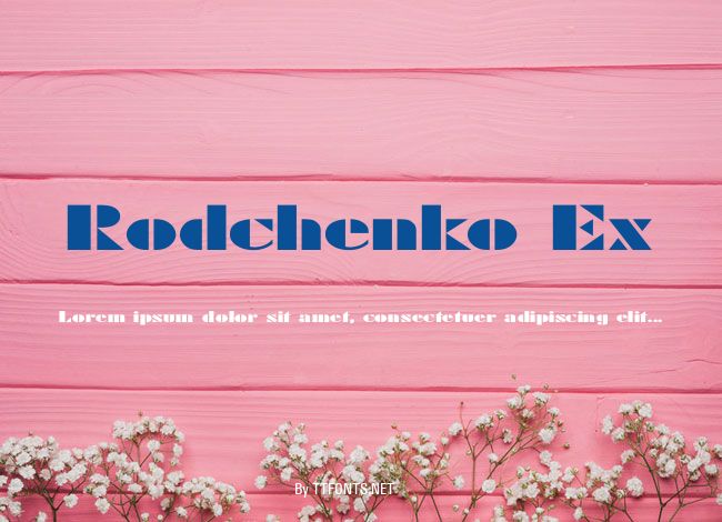 Rodchenko Ex example