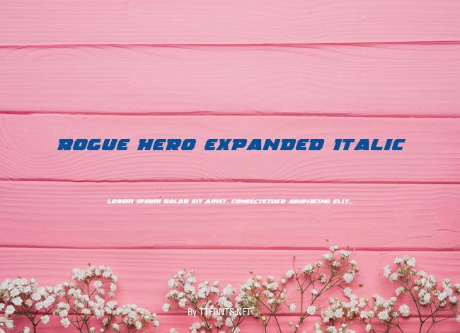 Rogue Hero Expanded Italic example