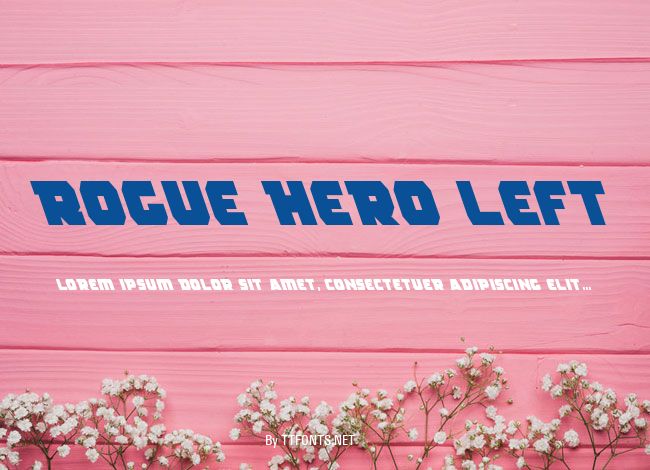 Rogue Hero Left example