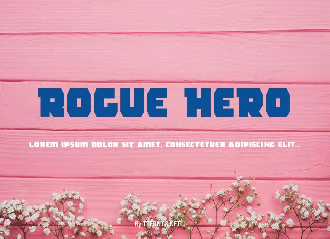 Rogue Hero example