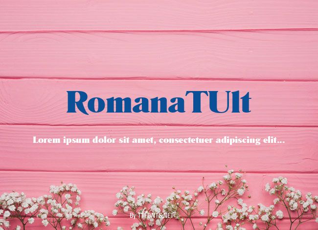 RomanaTUlt example