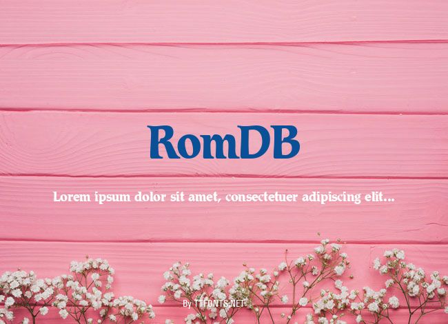 RomDB example