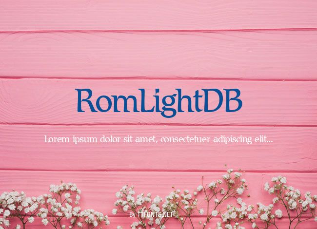 RomLightDB example