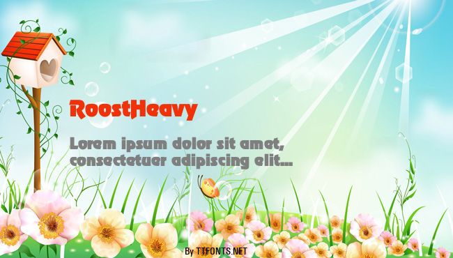 RoostHeavy example
