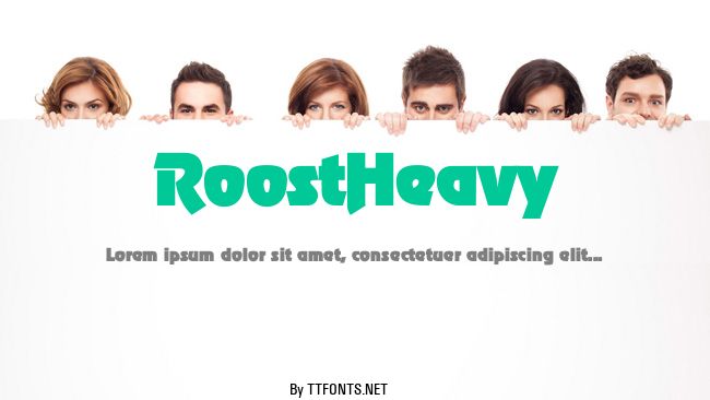 RoostHeavy example