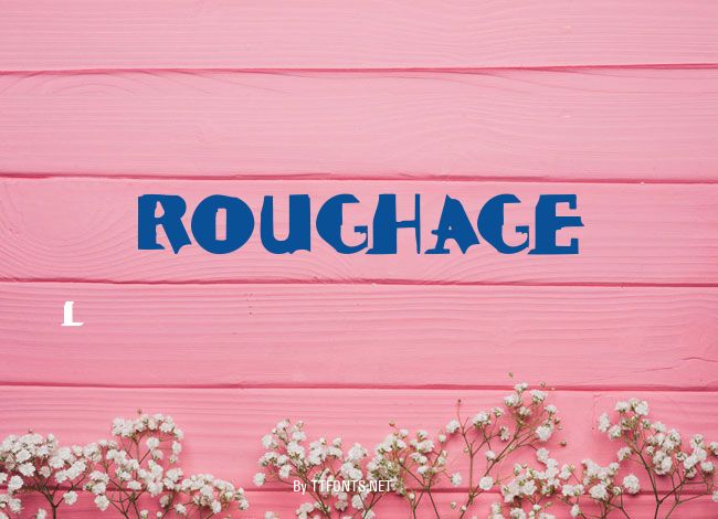 ROUGHAGE example