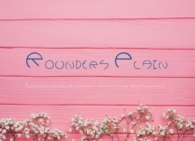 Rounders Plain example