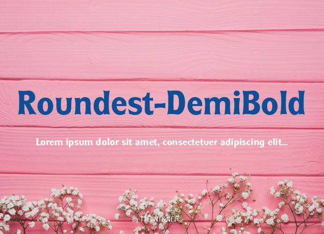 Roundest-DemiBold example