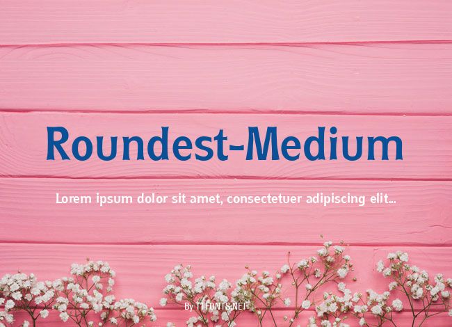 Roundest-Medium example