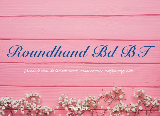 Roundhand Bd BT example