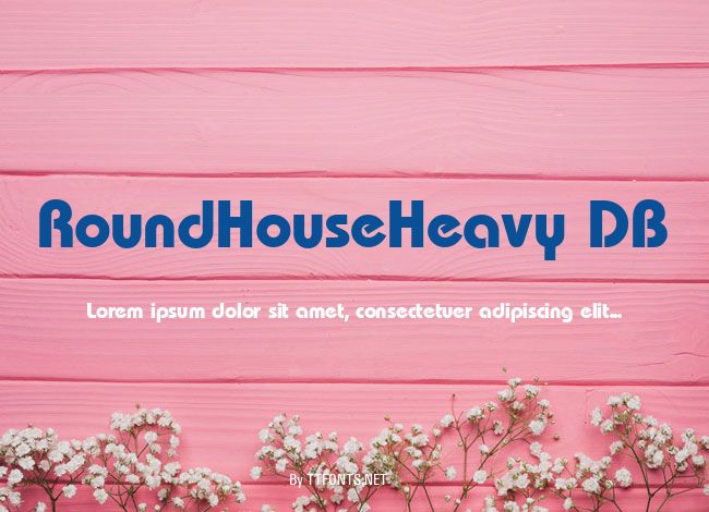 RoundHouseHeavy DB example