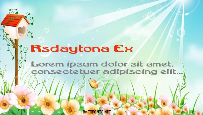 Rsdaytona Ex example