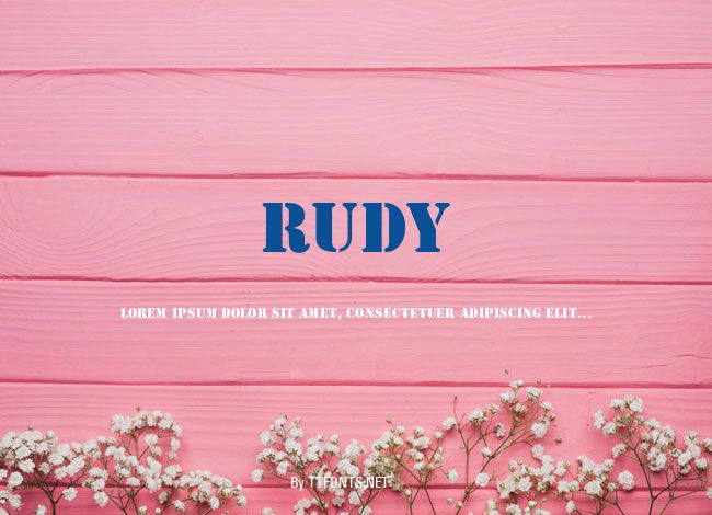 Rudy example