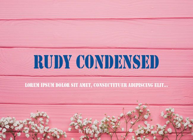 Rudy Condensed example