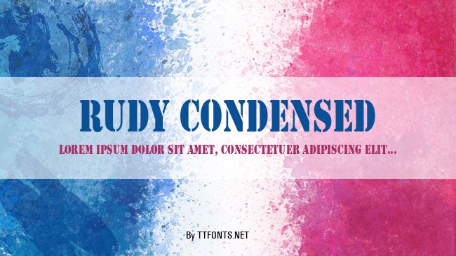 Rudy Condensed example