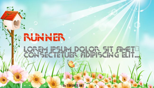 Runner example