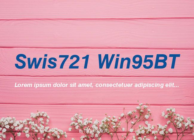 Swis721 Win95BT example