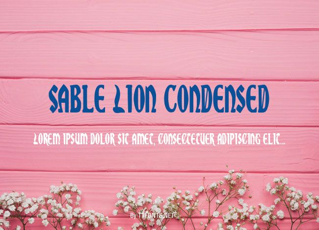 Sable Lion Condensed example