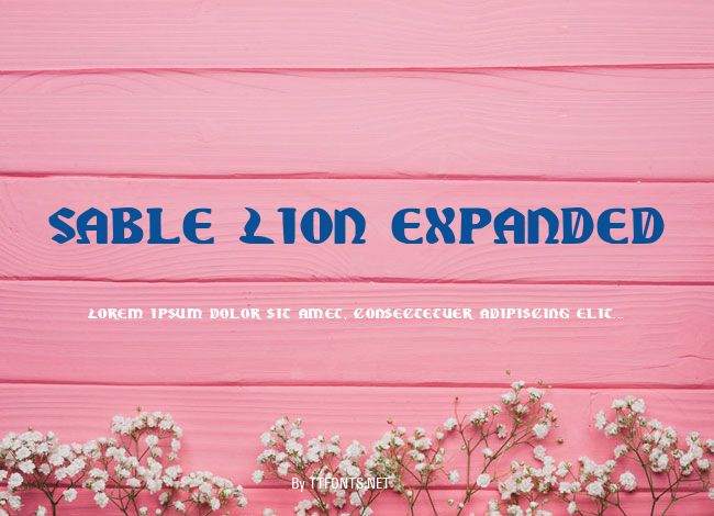 Sable Lion Expanded example