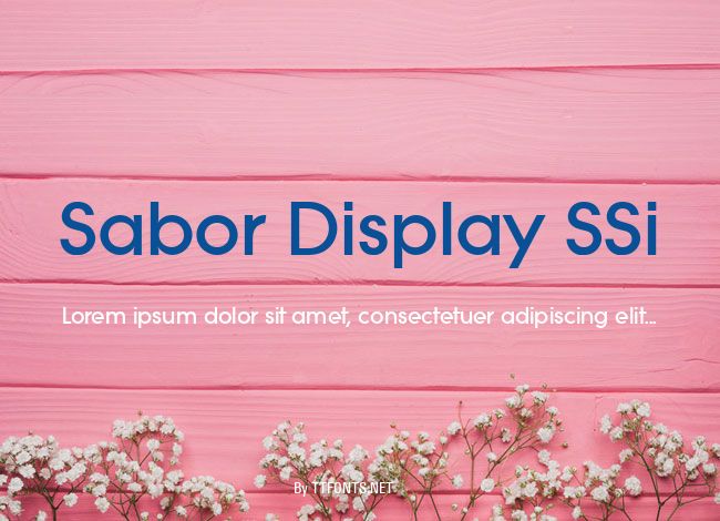 Sabor Display SSi example