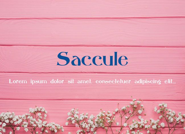 Saccule example